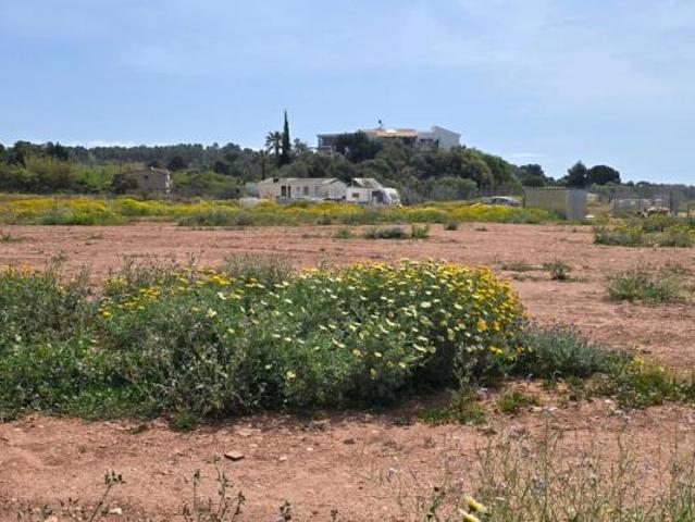 Terrenos ALTEA ALICANTE 101989001
