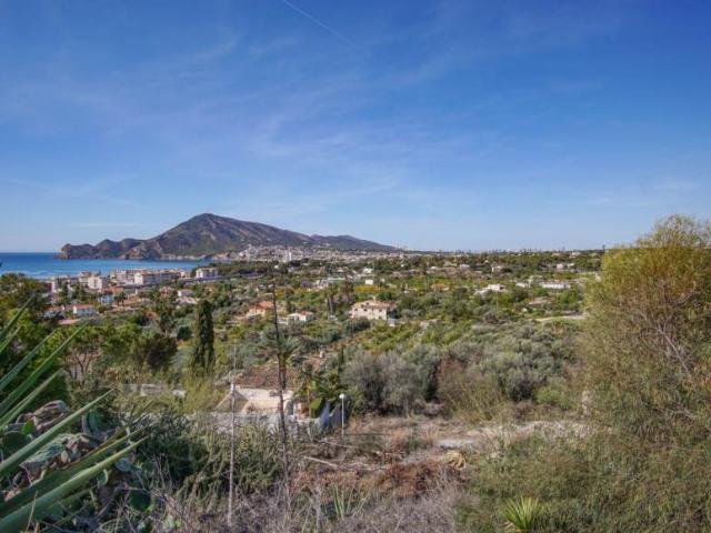 Terrenos Altea Alicante 101135430