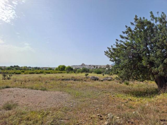 Terrenos Altea Alicante 101253437