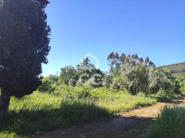 Terrenos Alvaiázere Leiria DLS76460277