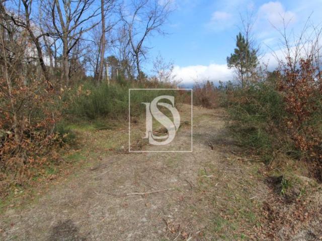 Terrenos Amarante Porto DLS94668613