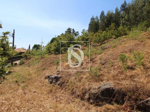 Terrenos Amarante Porto DLS94668611