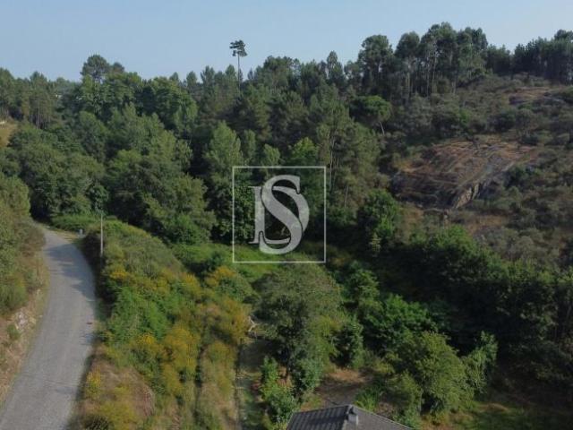 Terrenos Amarante Porto DLS94668621