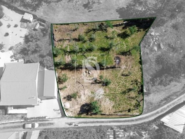 Terrenos Amarante Porto DLS94668624