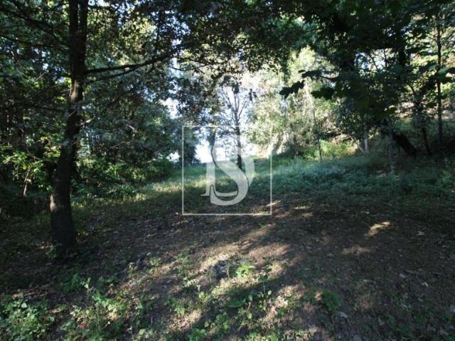 Terrenos Amarante Porto DLS94668628