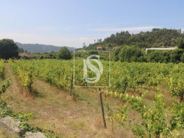 Terrenos Amarante Porto DLS94668703