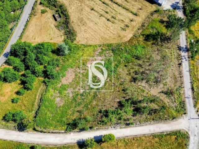 Terrenos Amarante Porto DLS98451193