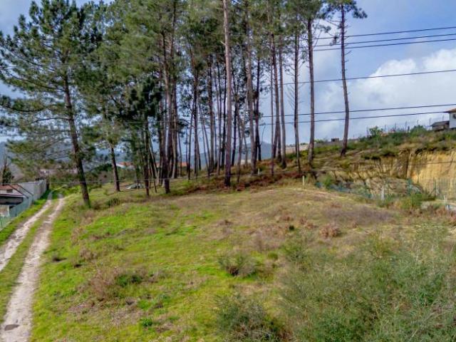 Terrenos Amarante Porto DLS99717456