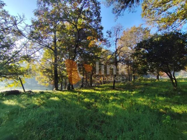 Terrenos Amares Amares DS98465290