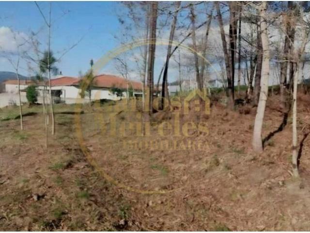 Terrenos Amares Amares DS98319312