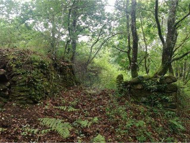 Terrenos Amares Braga DS100020874