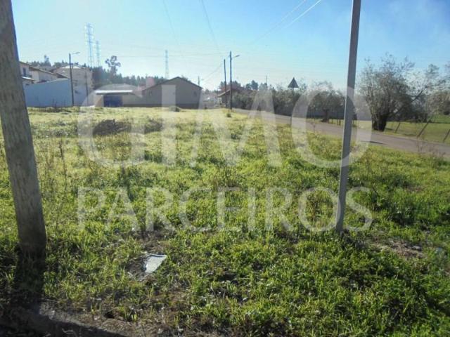 Terrenos Anadia Anadia DLS100190723