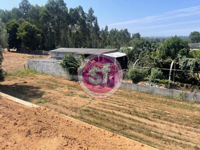 Terrenos Anadia Anadia DLS100395823