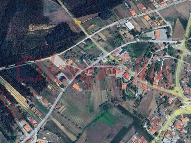 Terrenos Anadia Anadia DLS100323021