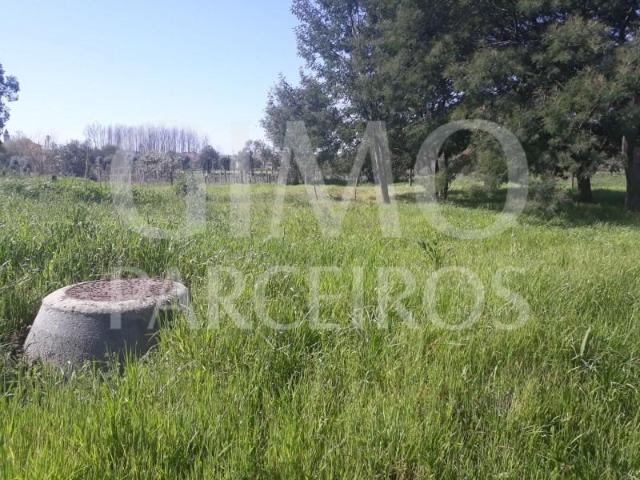 Terrenos Anadia Anadia DLS100936666