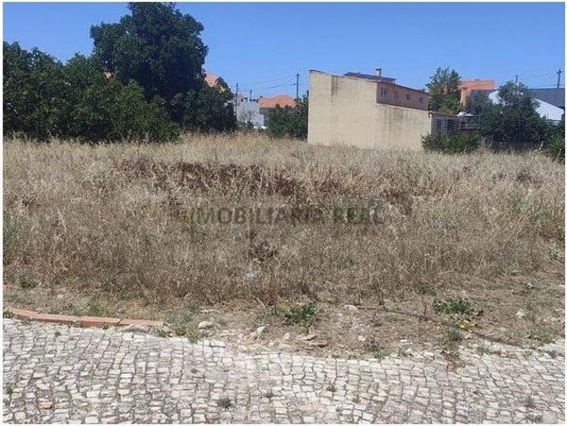 Terrenos Anadia Anadia DLS101563800