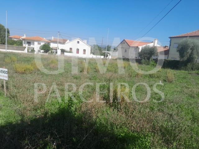Terrenos Anadia Anadia DS87078175