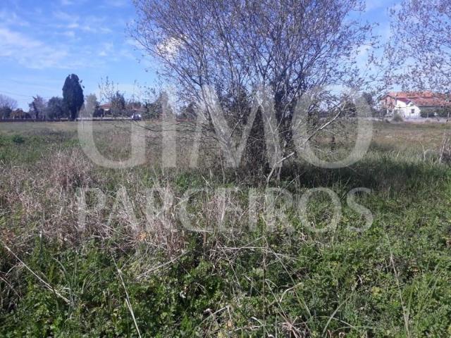 Terrenos Anadia Anadia DS89809792