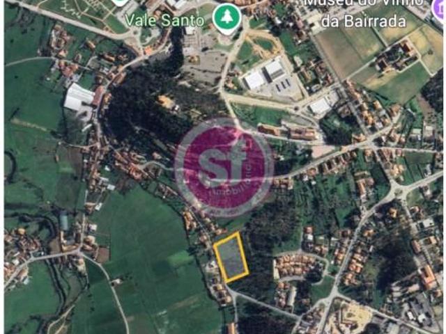 Terrenos Anadia Anadia DS97117979