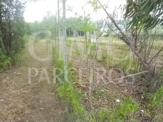 Terrenos Anadia Anadia DS98535055