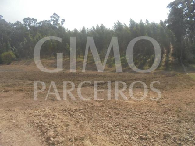 Terrenos Anadia Anadia DS98321852