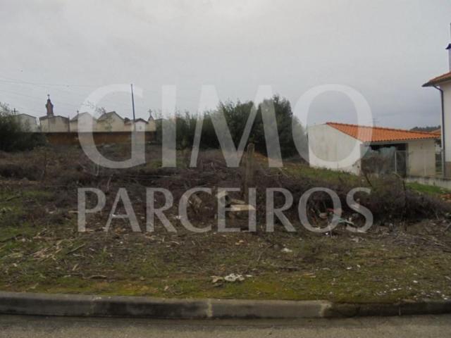 Terrenos Anadia Anadia DS99717482