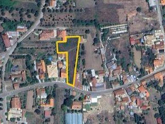 Terrenos Anadia Aveiro DLS100342739