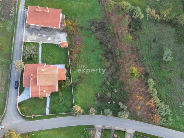 Terrenos Anadia Aveiro DS85518867