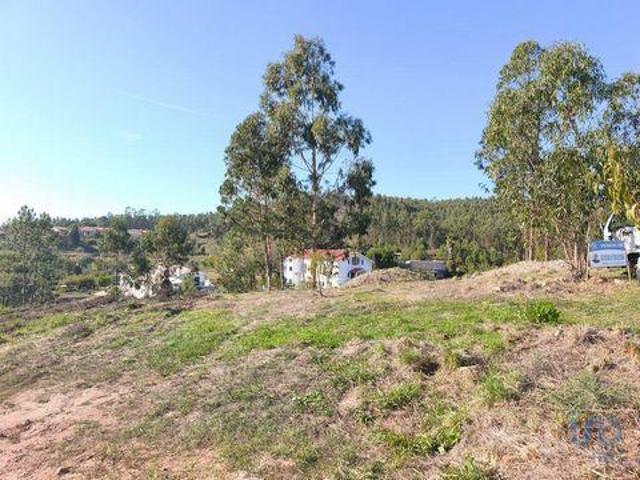 Terrenos Anadia Aveiro DS95443939