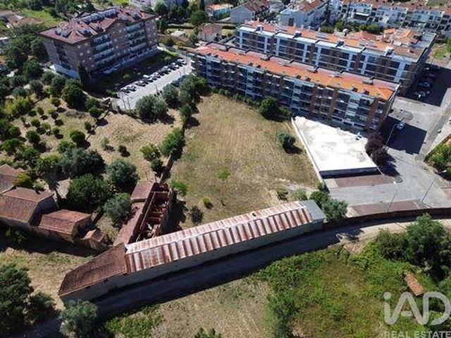 Terrenos Anadia Aveiro DS95954645