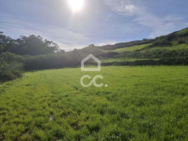 Terrenos Angra do Heroísmo Ilha Terceira DS88726247