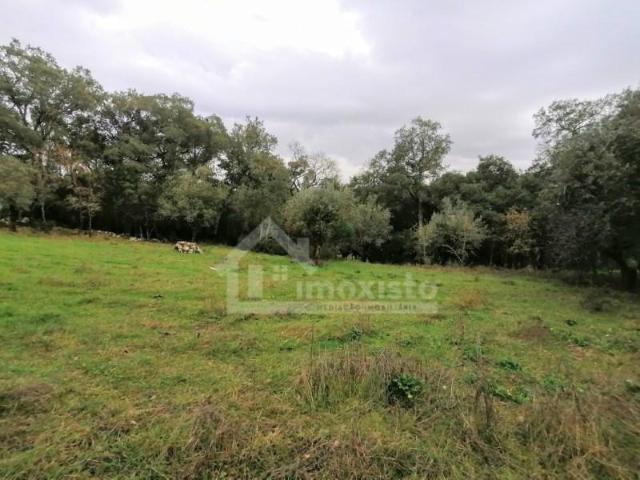 Terrenos Ansião Ansião DLS102240003