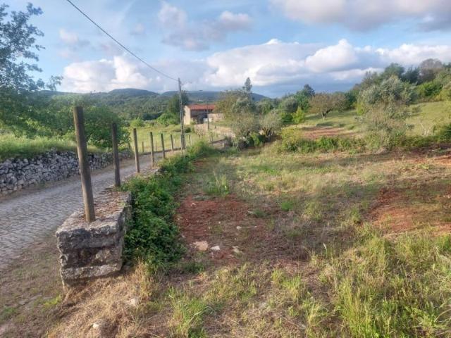 Terrenos Ansião Ansião DS92582249