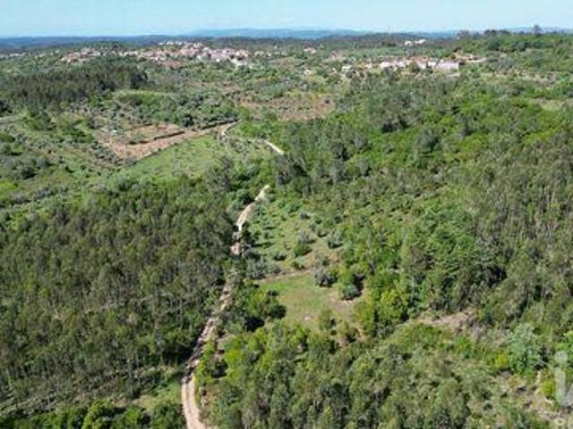 Terrenos Ansiao Leiria DLS102209924