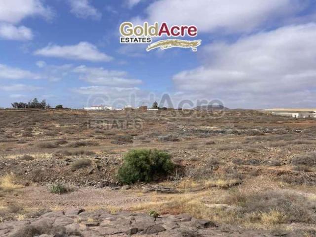 Terrenos Antigua Canary Islands 103568519