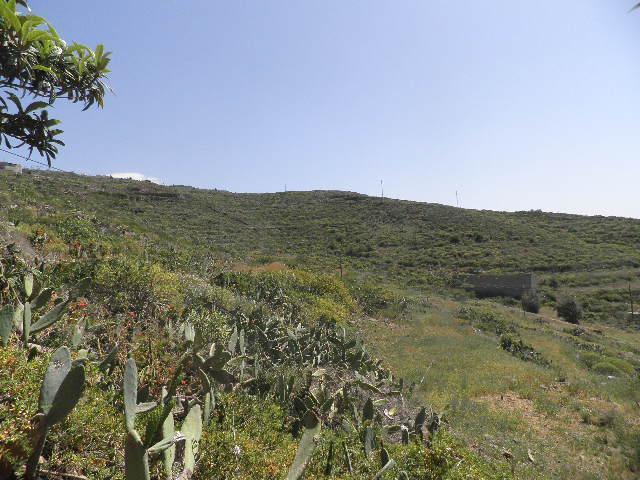 Terrenos Arona S. C. Tenerife LS78110555