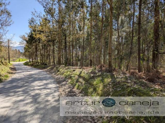 Terrenos Arcos de Valdevez Arcos de Valdevez DLS89232862