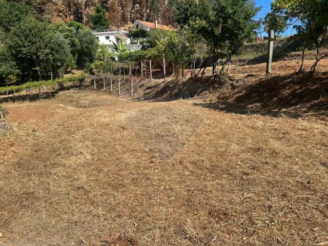 Terrenos Arcos de Valdevez Arcos de Valdevez DLS97120268