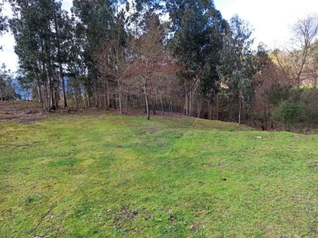 Terrenos Arcos de Valdevez Arcos de Valdevez DLS99718058