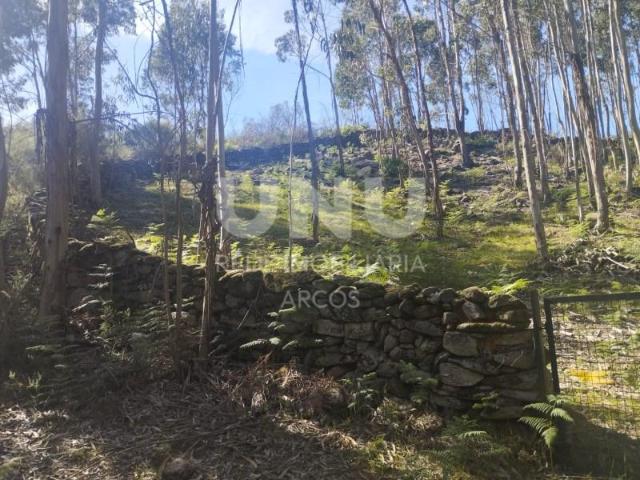 Terrenos Arcos de Valdevez Arcos de Valdevez DLS102527251