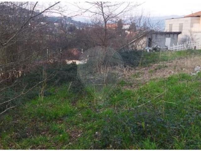 Terrenos Arcos de Valdevez Arcos de Valdevez DLS102572922