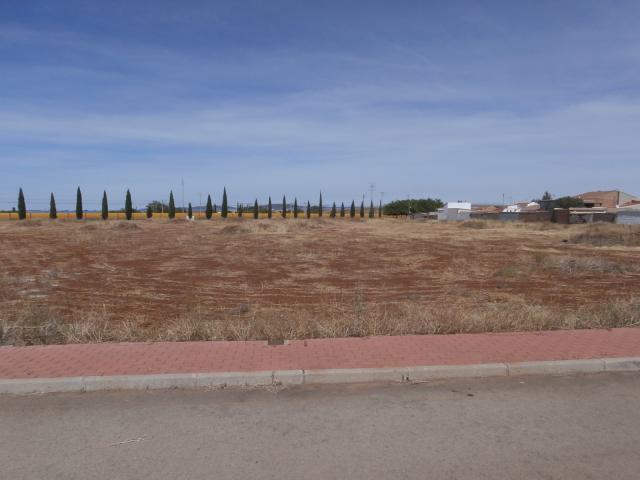 Terrenos Argamasilla De Calatrava Ciudad Real LS78111738
