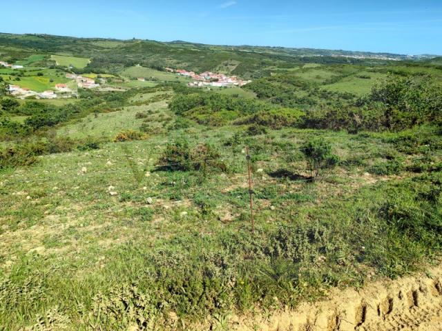 Terrenos Arruda dos Vinhos Arruda dos Vinhos DS87043019