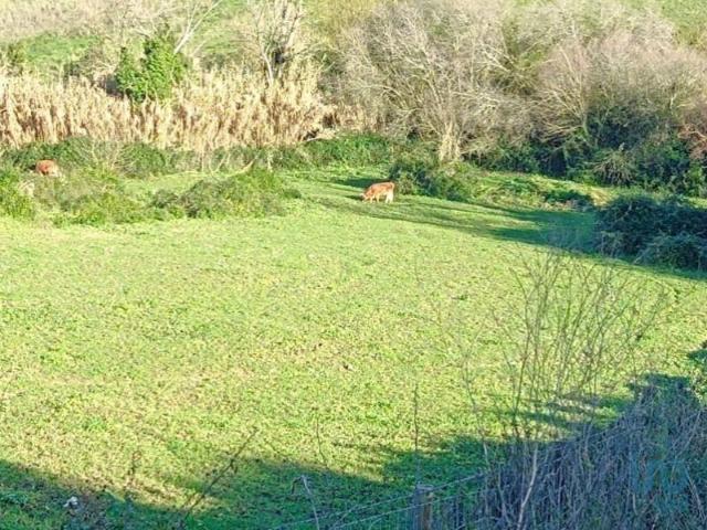 Terrenos Arruda dos Vinhos Arruda dos Vinhos DS91855811