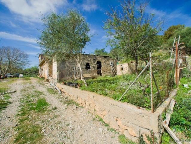 Terrenos Arta Spanien LS96272561