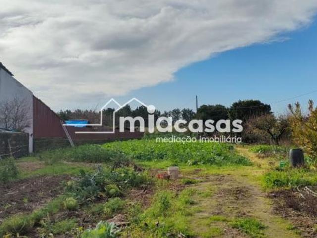 Terrenos Aveiro Anadia 3780 DS97957149