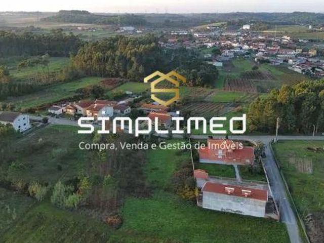 Terrenos Aveiro Anadia 3780 DS100008061
