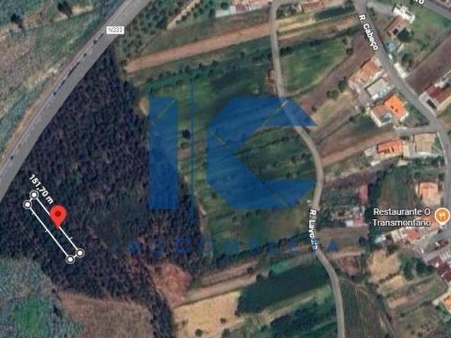 Terrenos Aveiro Águeda 3750 DLS96649409