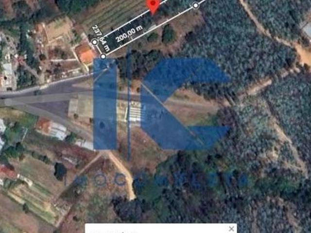 Terrenos Aveiro Águeda 3750 DLS96649411