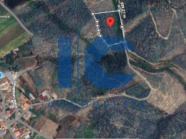 Terrenos Aveiro Águeda 3750 DLS96649413